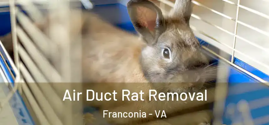  Air Duct Rat Removal Franconia - VA
