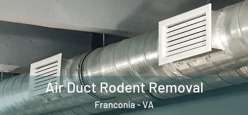  Air Duct Rodent Removal Franconia - VA