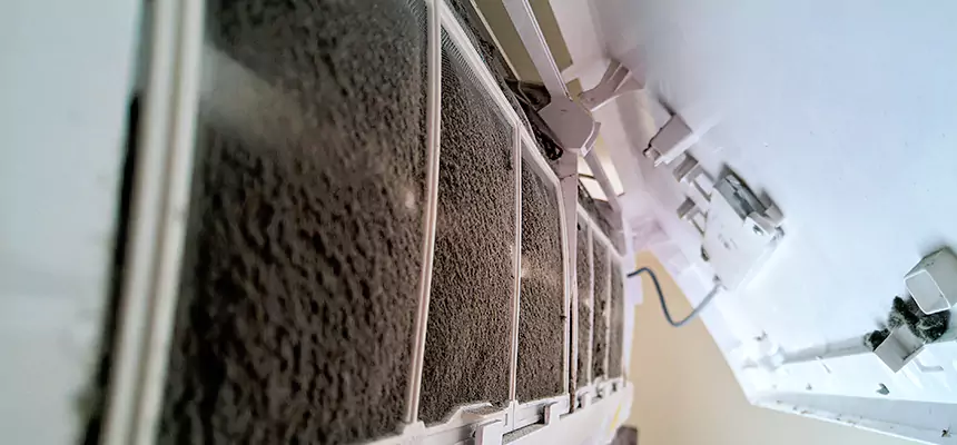 Preventive Air Duct Bacteria Removal in Franconia