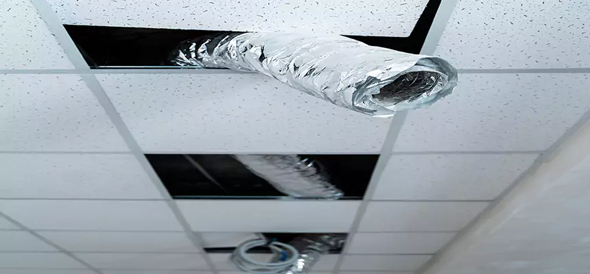 Affordable HVAC Sanitizing After Pest Removal in Franconia