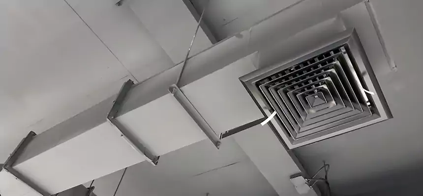 Our Rodent Droppings In Vents Services in Franconia, VA