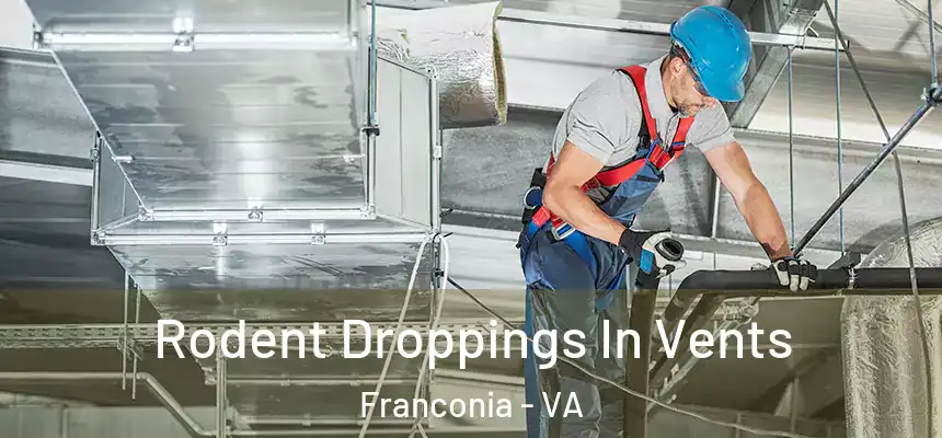  Rodent Droppings In Vents Franconia - VA