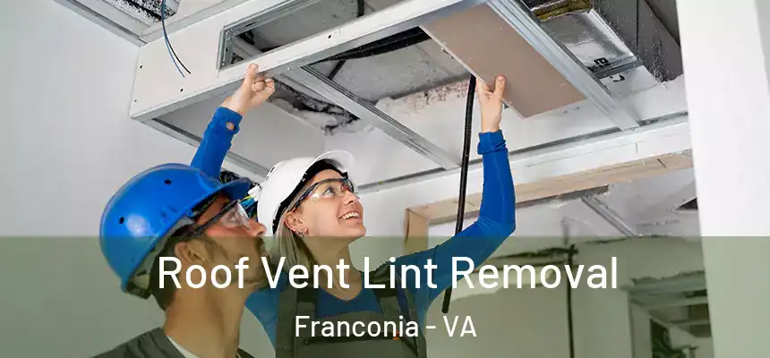  Roof Vent Lint Removal Franconia - VA