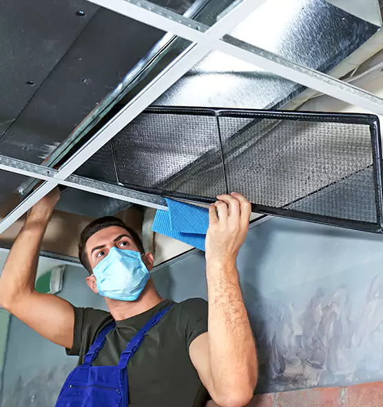 Professional Air Duct Pollen Cleaning in Franconia, VA