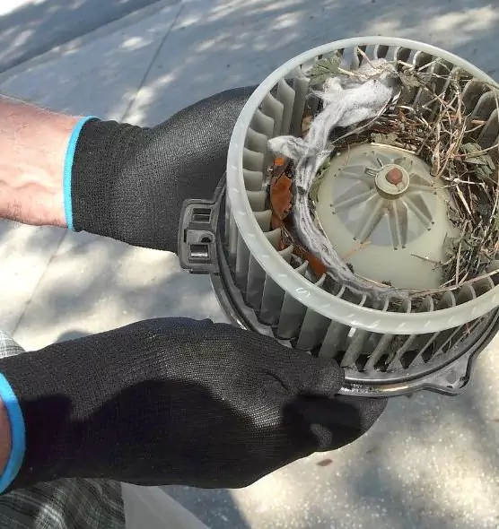 About Air Duct Rat Removal in Franconia, VA