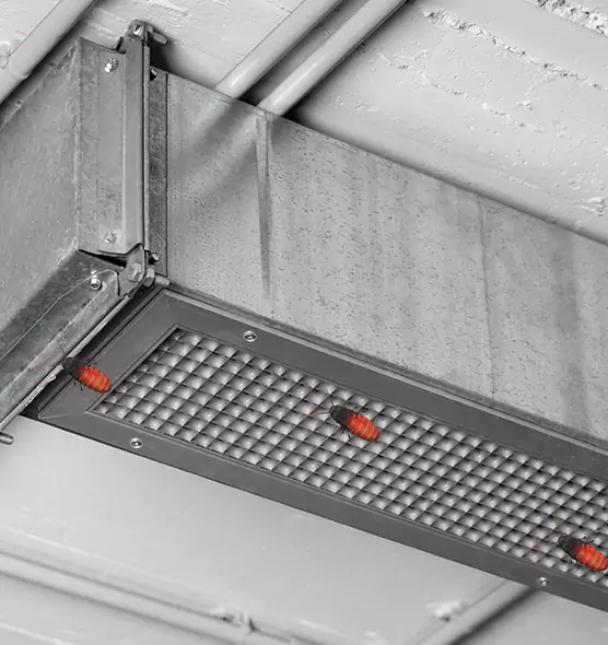 Affordable Insect Removal from Air Ducts in Franconia, VA