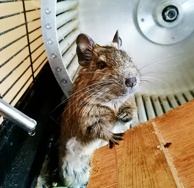 Why Homeowners & Businesses Trust Us Franconia, VA